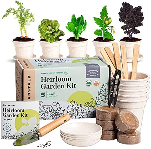 How You Can Medicinal Garden Kit Review Almost Instantly