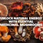 Essential Medicinal Mushrooms for Natural Energy