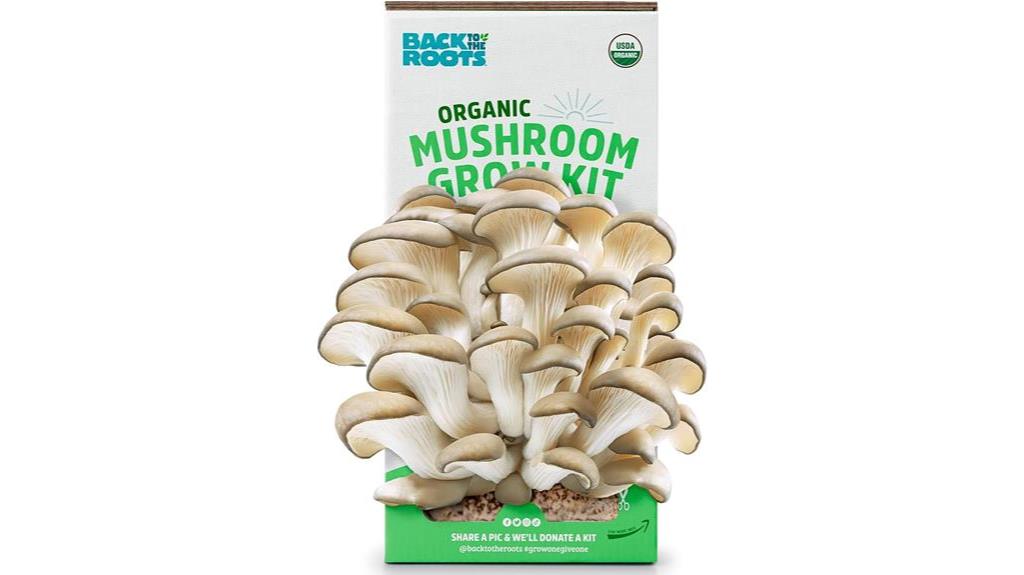 organic oyster mushroom kit