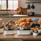 3 Best Mushroom Growing Kits for Fresh, Homegrown Fungi