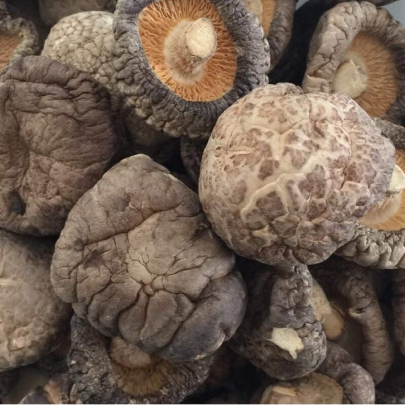 PREMIUM DRIED SHIITAKE CHINESE MUSHROOM (2 Pound 4-5cm)