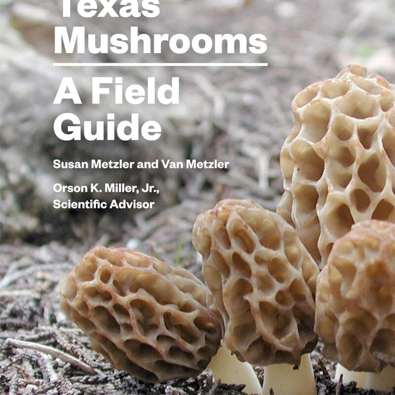 Texas Mushrooms: A Field Guide (Corrie Herring Hooks Series Book 18)