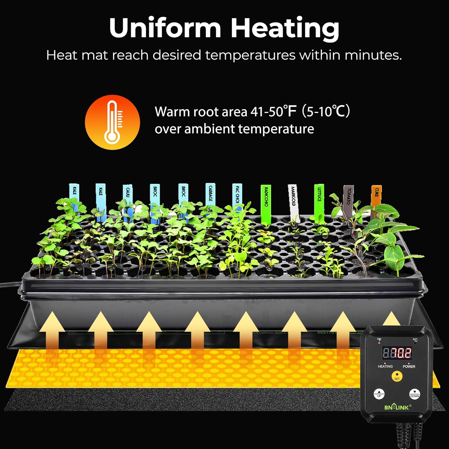 1740495542_81oVrcMpsL._AC_SL1500_.jpg BN-LINK Seedling Heat Mat Heating Pad 48" x 20.75" with Digital Thermostat Controller Combo Set Waterproof for Indoor Seed Starting and Plant Germination - Image 3