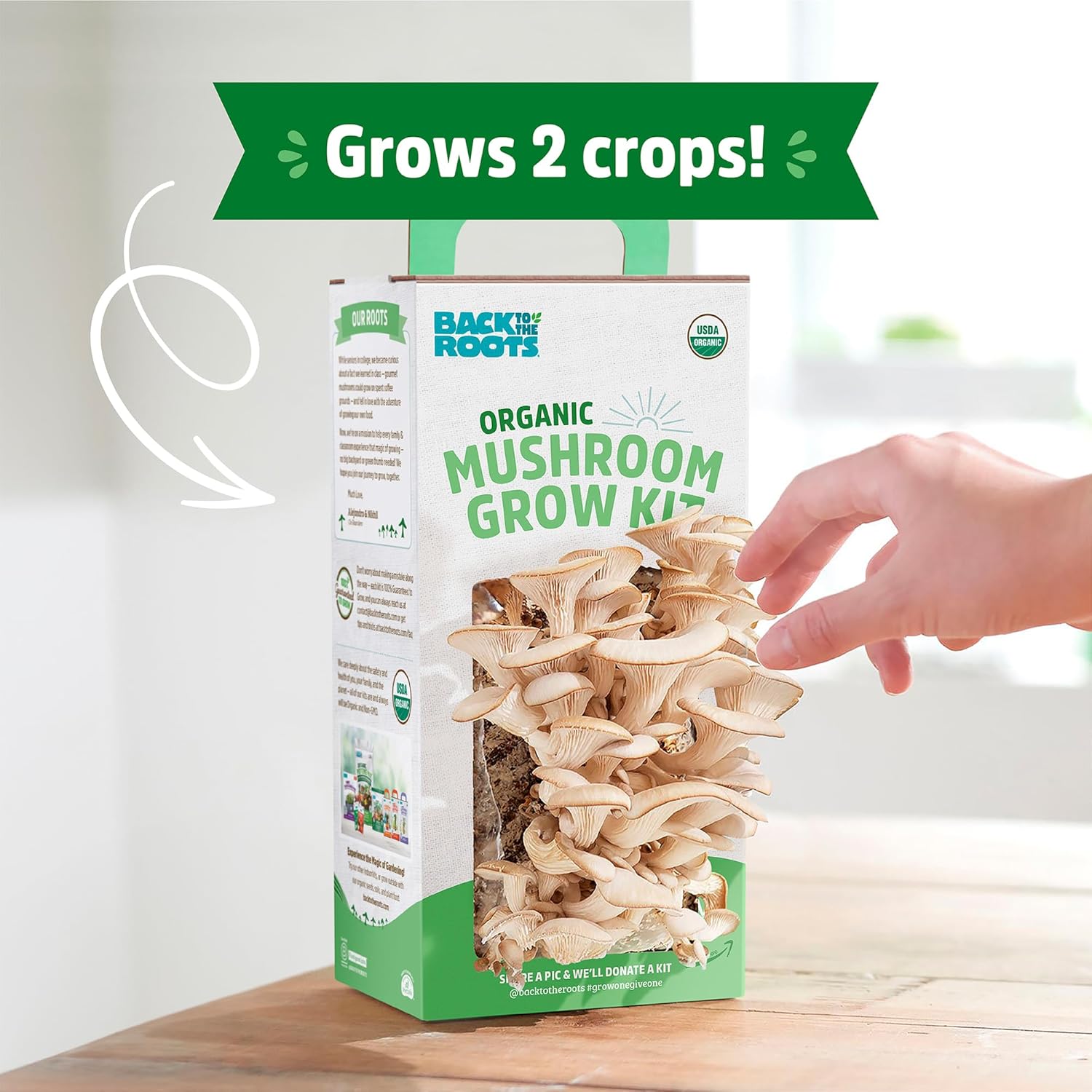 1740767789_81X4W4mnaxL._AC_SL1500_.jpg Back to the Roots Organic Mushroom Grow Kit 3-Pack: Oyster, Oyster & Pink-Harvest Gourmet Mushroom in Just 10 Days - Image 3