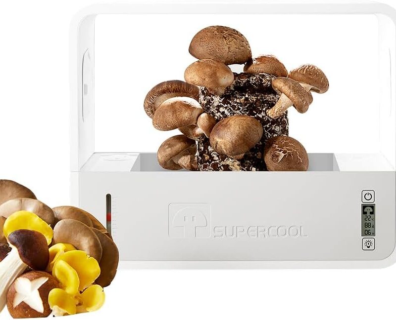 Indoor Mushroom Growing kit Includes Mushroom Grow Light,Fresh air System,Temperature,Automatic humidification for Shiitake Mushrooms,Lions Mane Grow kit,Gardening Gifts