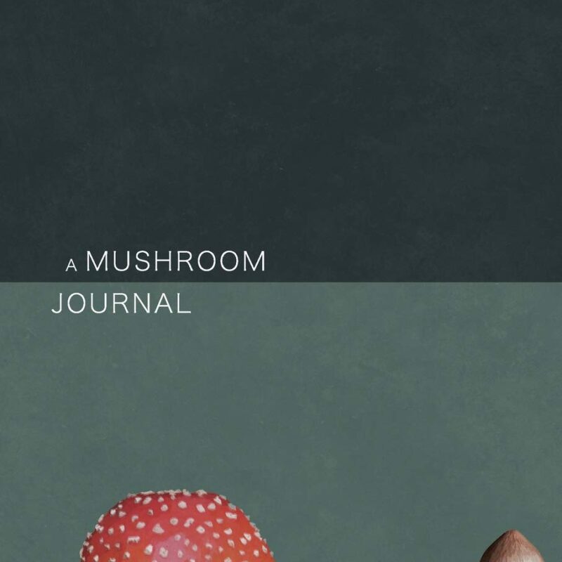 A Mushroom Journal: 6x9 Minimalistic Mushroom Identification Notebook for Mushroom Pickers