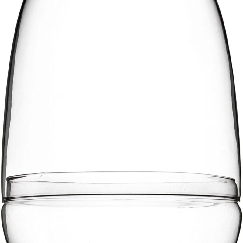 Bloomingville Large Clear Glass Terrarium