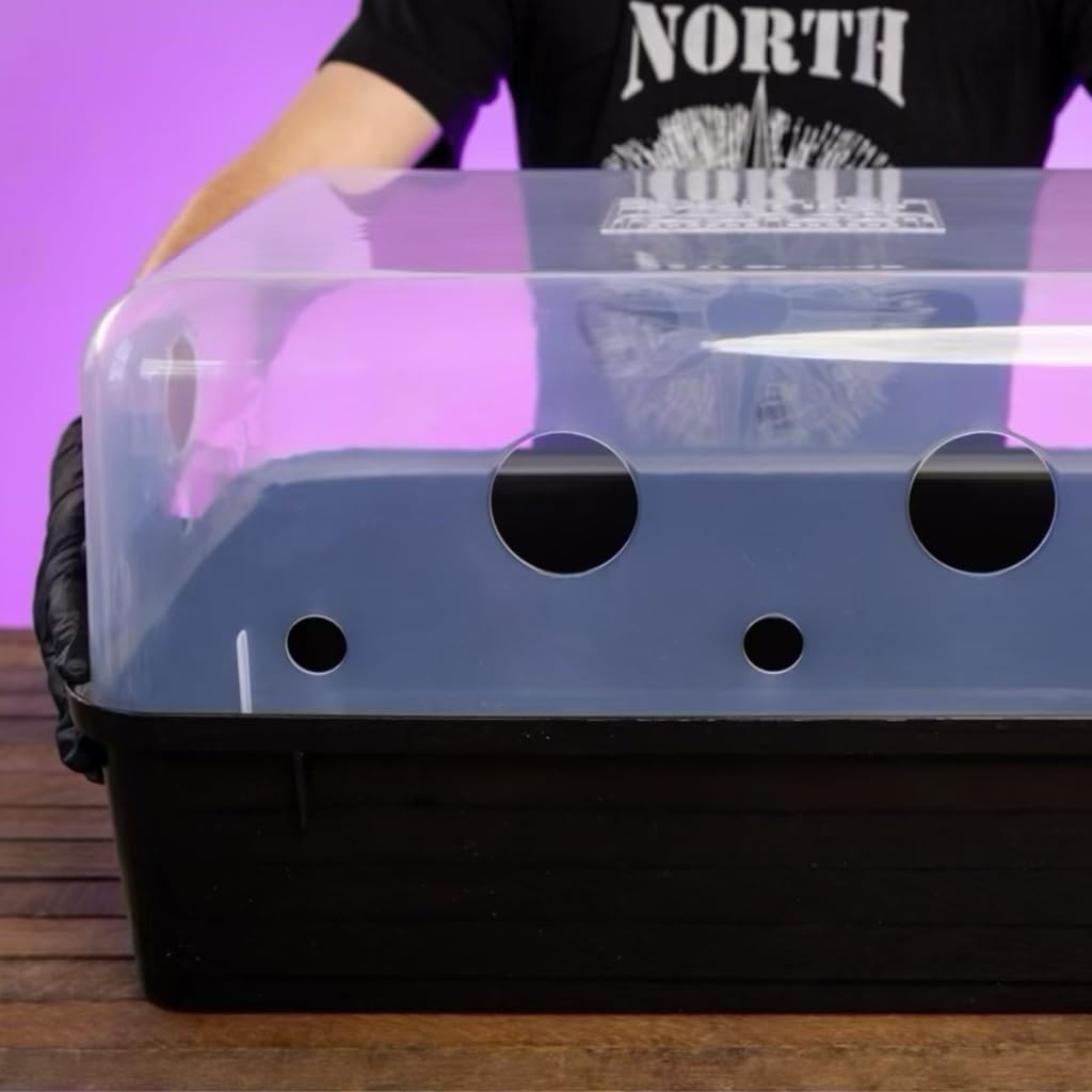 51P8ABV1c0L._SL1024_.jpg North Spore 'Boomr Bin' Monotub Mushroom Grow Kit | Complete Dung-Loving Mushroom Grow Kit - Just Add Spores | Featuring Boomr Bin Monotub | Includes Monotub, Sterile Substrates, Coco Coir & Filters - Image 4