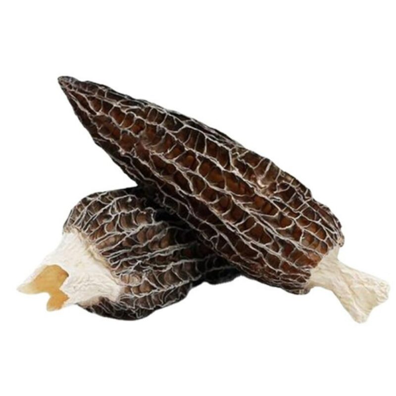 Natural Organic Wild Morchella Mushrooms,Morel,Morchella Deliciosa Fr,Kosher,Non-GMO,Gluten-Free,Vegetarianism,Naturally Sun Dried. (100 Gram)
