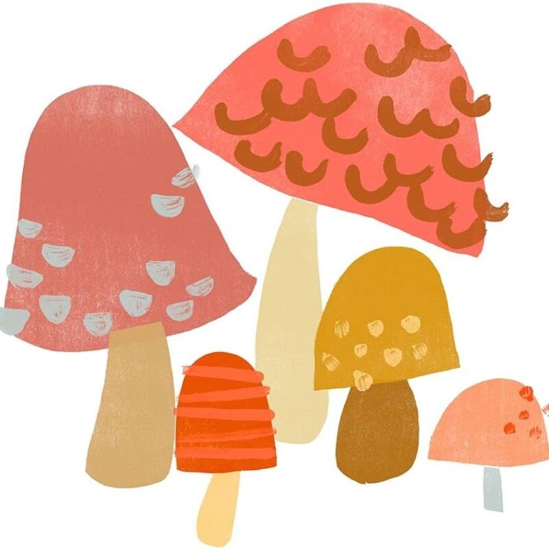 Cupcake Mushrooms I Poster Print - June Erica Vess (24 x 24)