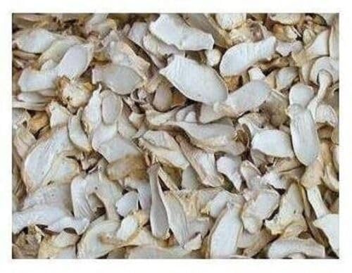 4 Pound (1816 grams) Oyster Dried Mushroom Premium Grade from Yunnan China