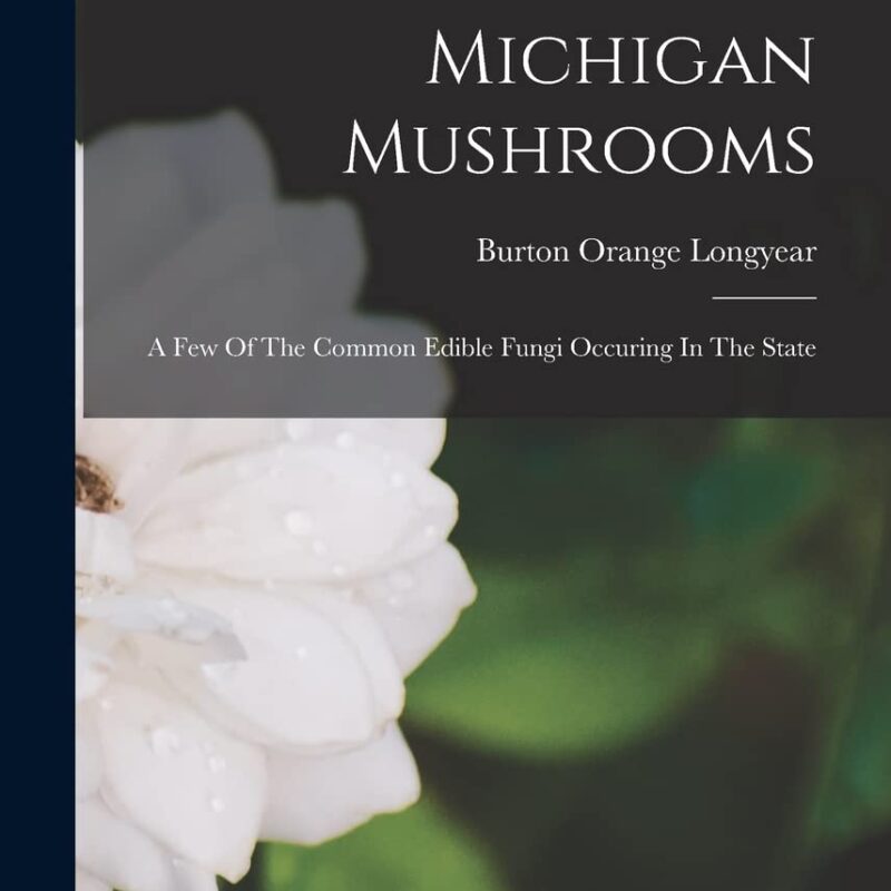 Michigan Mushrooms: A Few Of The Common Edible Fungi Occuring In The State