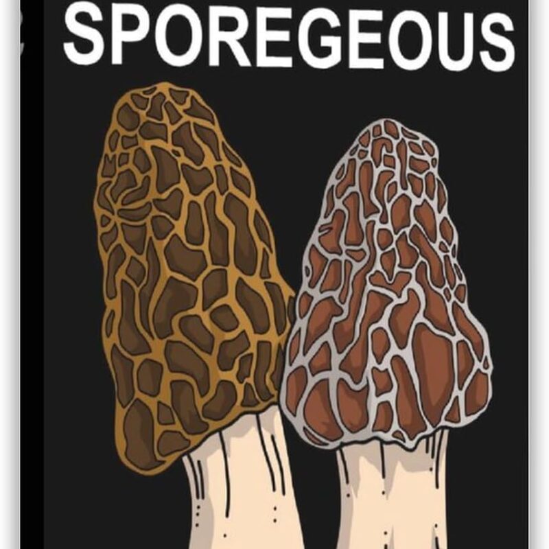 Morel Mushroom Gift Mens Canvas Poster Wall Art Decor Print Picture Paintings for Living Room Bedroom Decoration Frame: Frame:20x30inch(50x75cm)