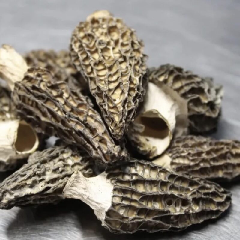 Dried Wild Harvested Morel Mushrooms, 1 lb, USA Wild Harvest Foods