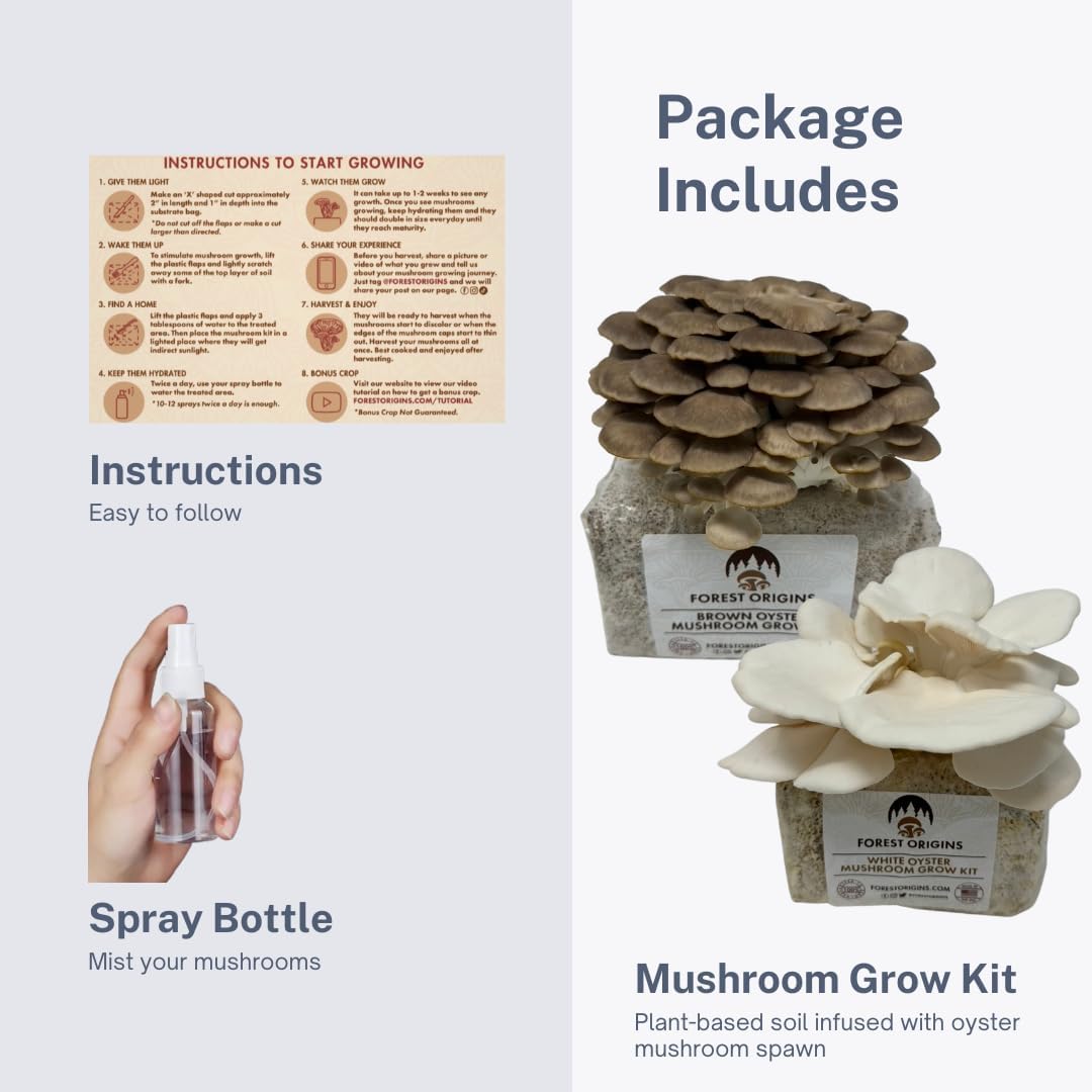61DnkgUTAIL._AC_SL1080_.jpg White & Brown Oyster Mushroom Grow Kit 2-Pack Variety - Beginner Friendly & Easy to Use, Grows in 10 Days | Handmade in California, USA | Top Gardening Gift, Holiday Gift & Unique Gift - Image 4