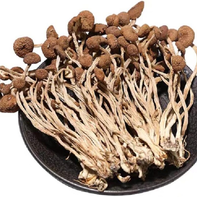 Dired Agrocybe Aegerila, agrocybe cylindracea; AGROCYBECYLINDRACEA,Dried Mushrooms;Tea Tree Mushrooms;ChaShuGu Dried Edible Tea Tree Mushrooms (1000 g(2.20 lbs))
