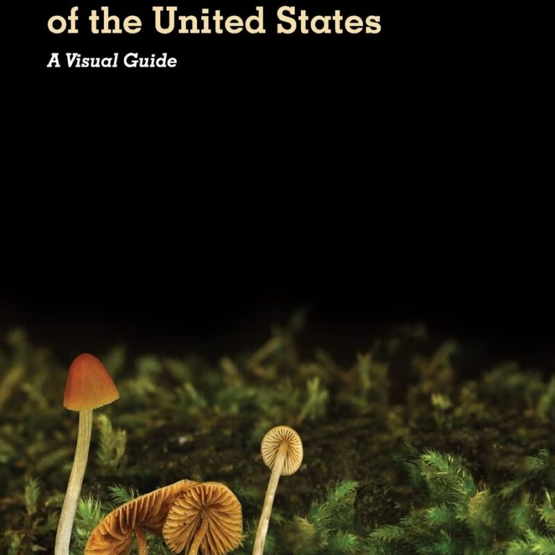 Psilocybin Mushrooms of The United States: A Visual Guide