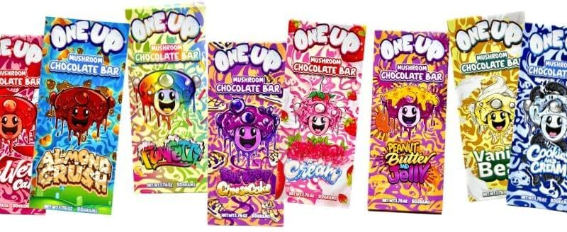 ONE UP Mushroom Chocolate Bar Variety Pack
