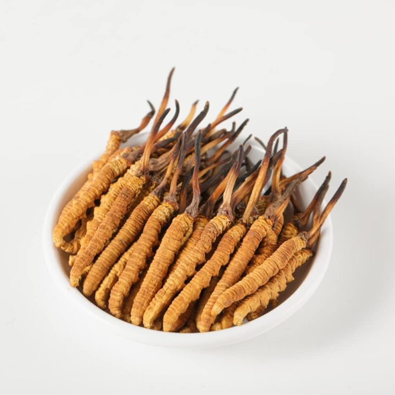 Wild Cordyceps, Whole Himalyan Cordyceps Sinensis Mushroom, Genuine and Very Rare, High Grade, Boost Energy, Reduce Stress for Men and Women, 5 Grams (13+17pic) from Lamjung Nepal Keeda Zadi