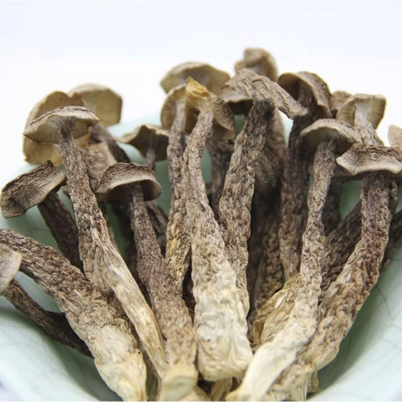 Velvet Mushroom Shiitake Mushroom,Velvet Mushroom,Mushrooms Velvet Antler Mushrooms,Natural Mushrooms Velvet Antler Luronggu (1000grams)