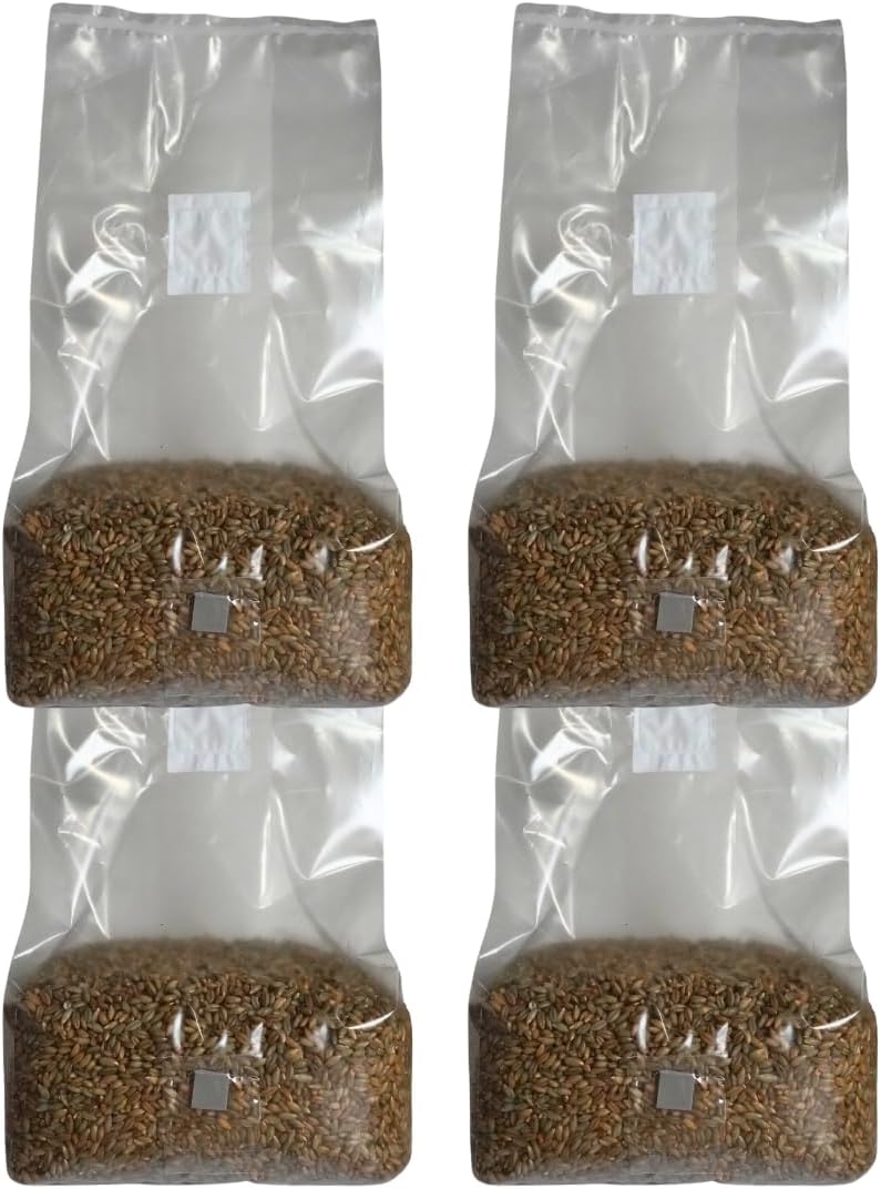 61ZYkePVdQL._AC_SL1080_.jpg 5lb Organic Sterile Mushroom Grain Spawn | Injector Port Grow Bags, Hydrated, Ready to Inoculate (Pack of 4) | Made in USA