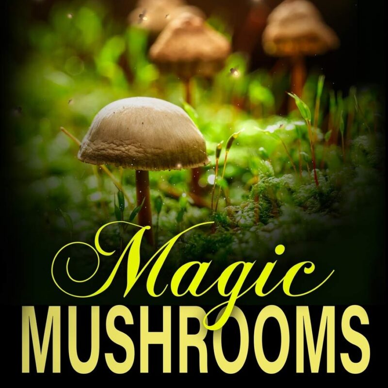 Magic Mushrooms: The complete beginner's guide to mushrooms cultivation with updated methods. Everything you need to know about their cultivation and identification to prepare medicinal recipes.
