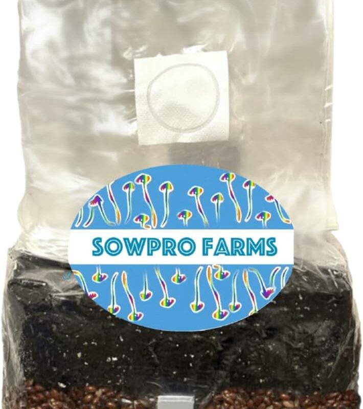 All in One Mushroom Grow Bag (5lbs, 2, 2 Bags)