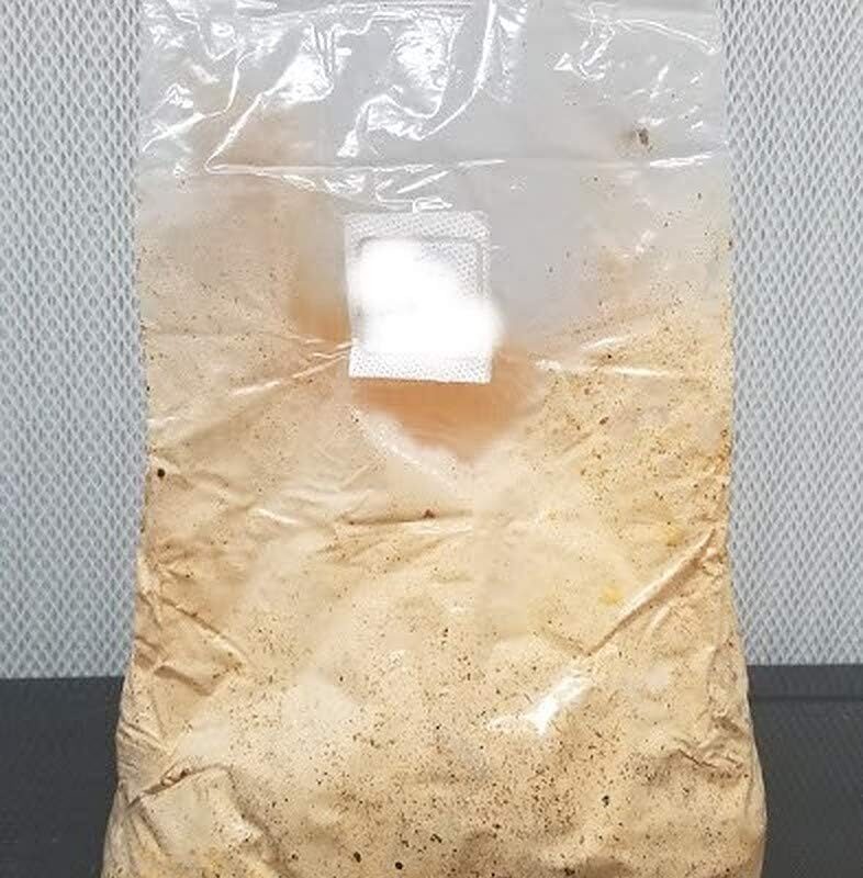 5 lbs of Chicken of The Woods Mushroom Sawdust Spawn Mycelium to Grow Gourmet and Medicinal Mushrooms at Home or Commercially on Logs or Hardwood Chip Beds
