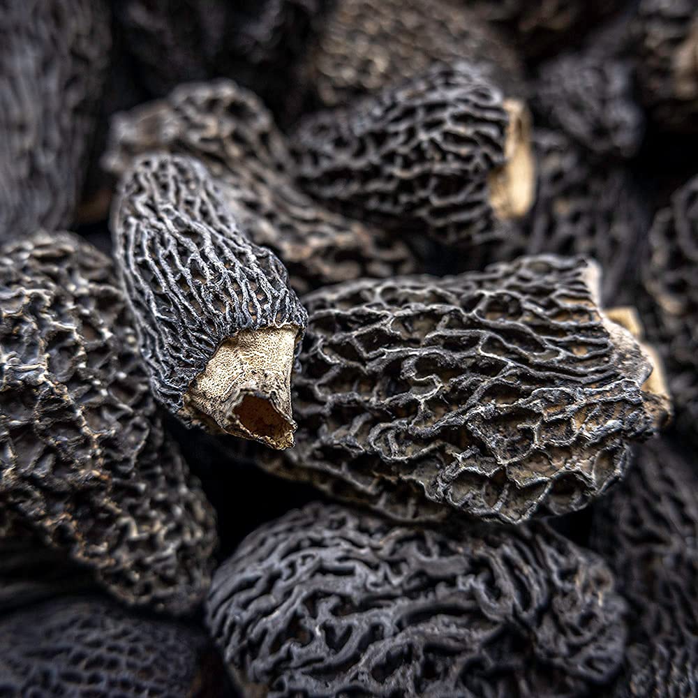 71ibQw8FWL._SL1000_.jpg West Coast Wild Foods | Dried Wild Mushrooms (Morel, 3.5oz - 100g) - Image 2