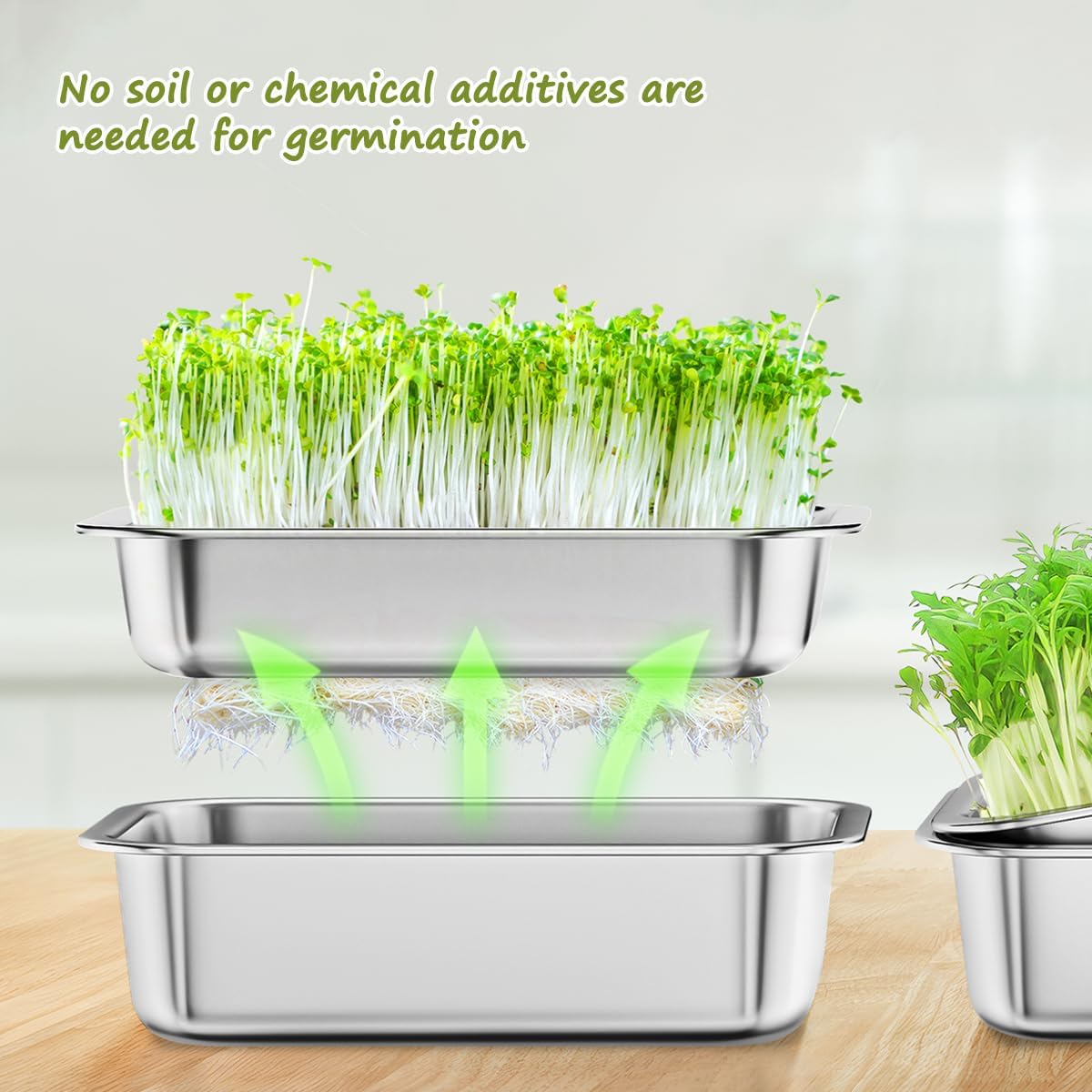 7158eLfYcIL._AC_SL1200_.jpg FANHAO 2-Pack Sprouting Tray Kit, Stainless Steel Soil-Free Cultivation Germination Tray, Healthy Wheatgrass Grower Sprouting Container Kit Nursery Tray for Indoors Plant Seedlings - Image 7