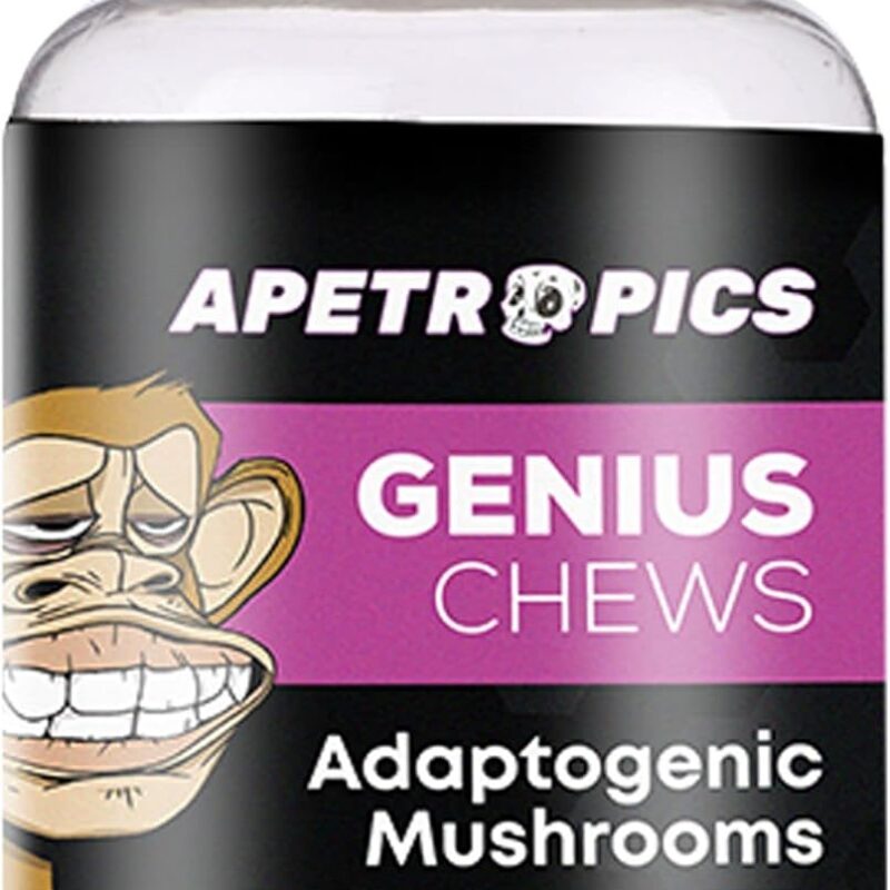 Apetropics Genius Chews - Brain Gummies with Lion’s Mane, Cordyceps, Reishi, and Turkey Tail Mushroom - Immune Support and Nootropic Brain Supplement - Very Berry Flavor - 30 Fruit Chews