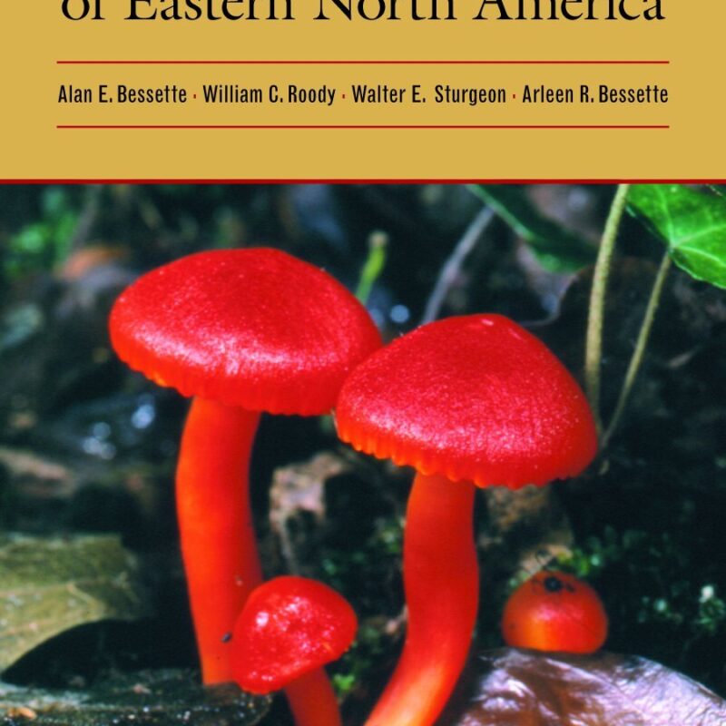 Waxcap Mushrooms of Eastern North America