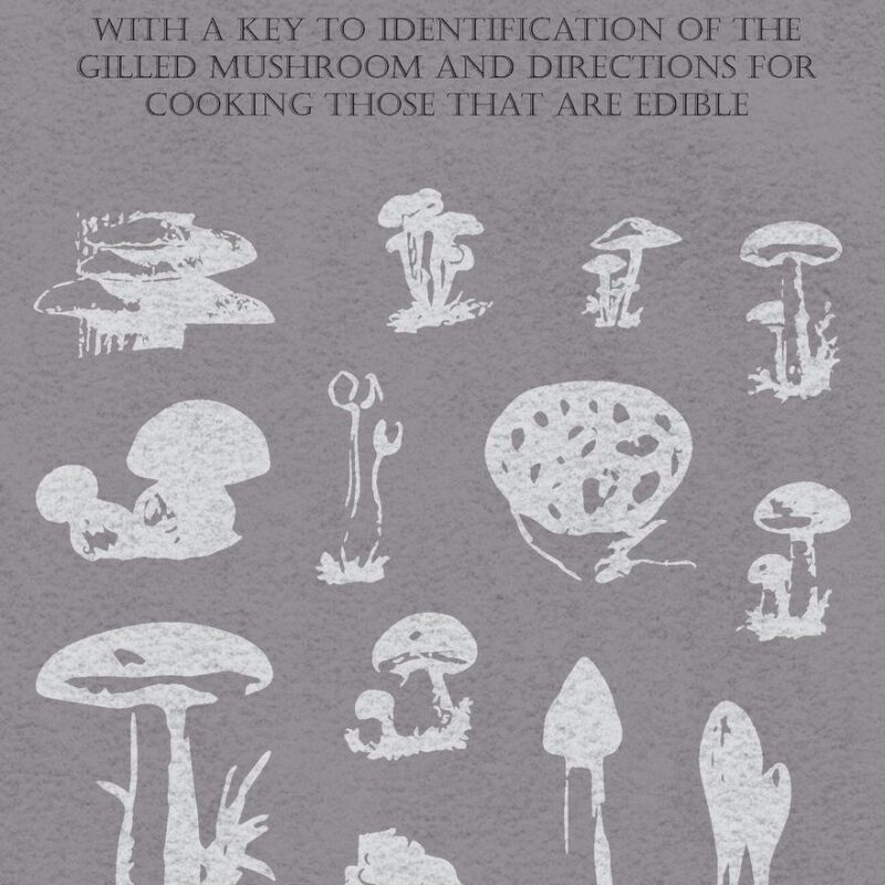 Field Book of Common Mushrooms - With a Key to Identification of the Gilled Mushroom and Directions for Cooking those that are Edible