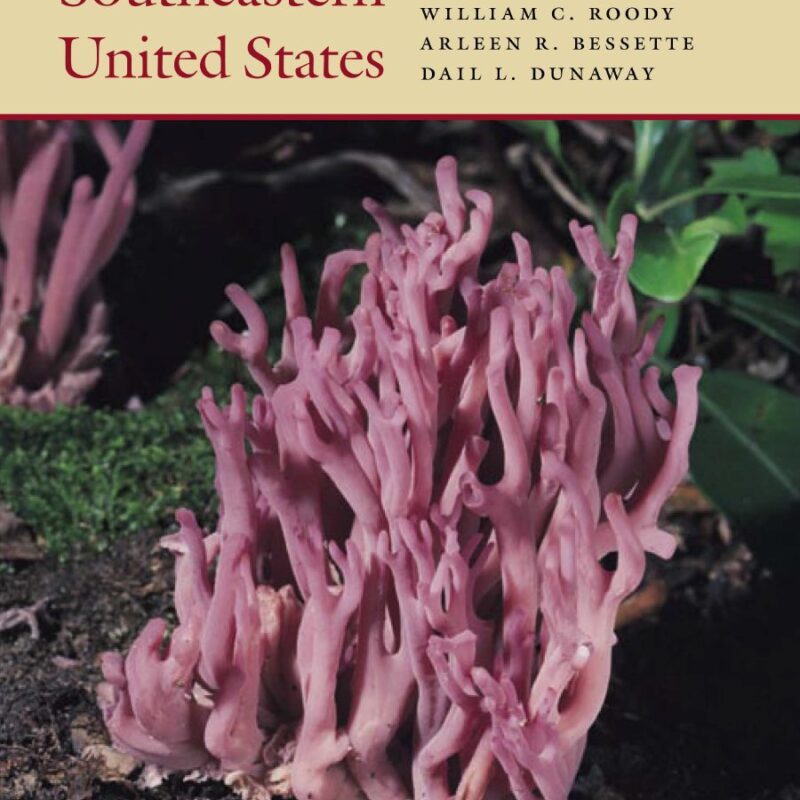 Mushrooms of the Southeastern United States