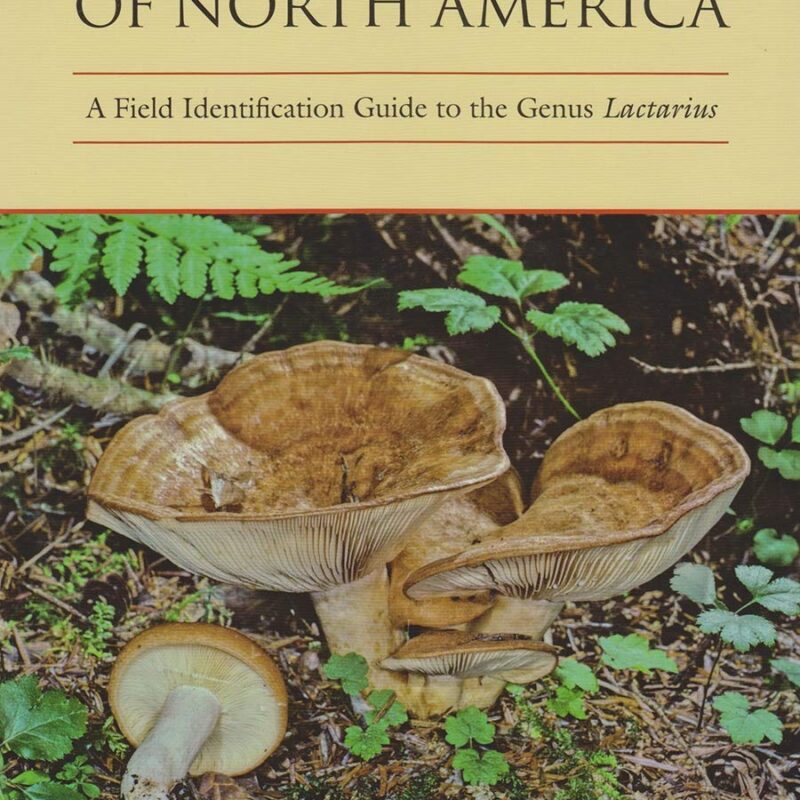 Milk Mushrooms of North America: A Field Identification Guide to the Genus Lactarius