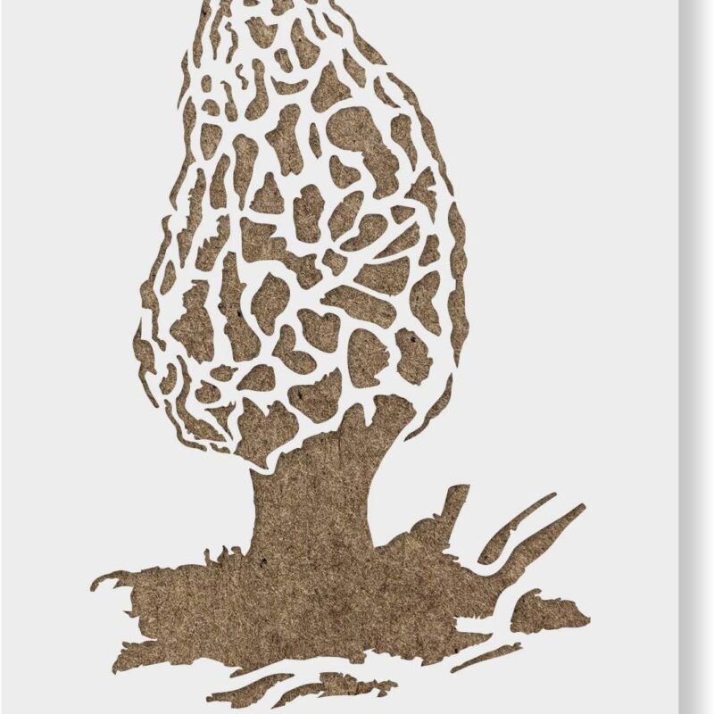 Morel Mushroom Stencil - Plastic Stencils, Stencils for Art, Drawing Stencils, Stencils for Crafts, Reusable Stencils