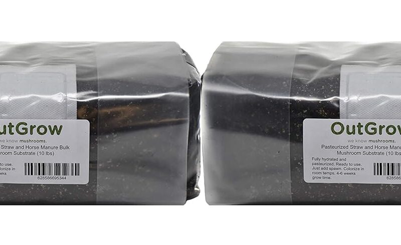Pasteurized 50/50 Bulk Mushroom Substrate (10 lbs)