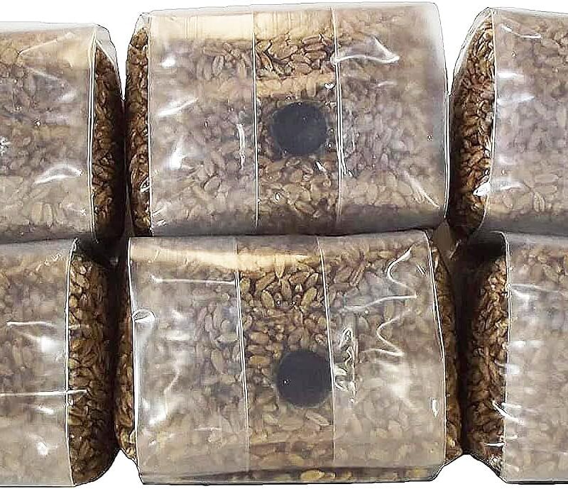 Sterilized Rye Berry Mushroom Substrate with Self Healing Injection Port (6)