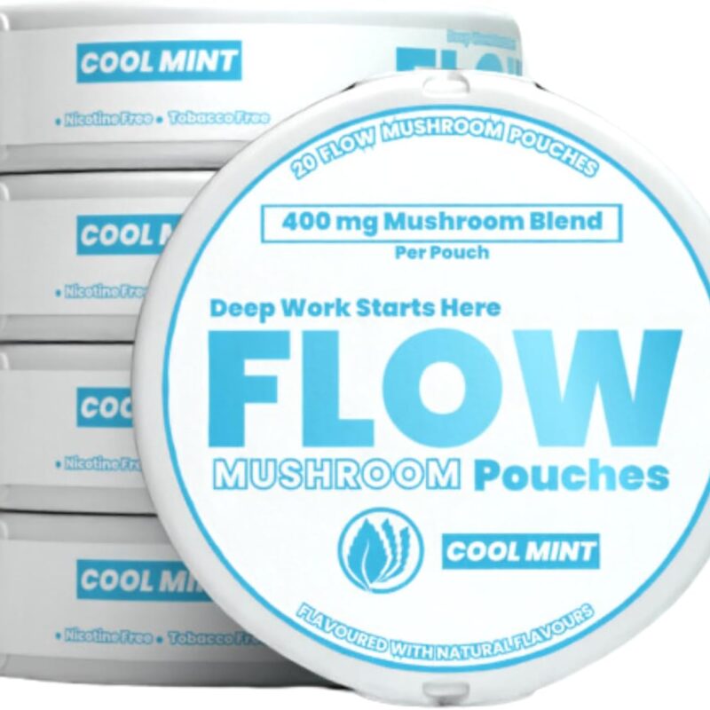FlowPouches Mushroom Pouches - Focus & Energy, Fresh Mint, Lions Mane Cordeyceps Blend, Caffeine Free, 20 Pouches, Cognitive Support, 100% Natural Ingredients, 5 Pack of Cans (5 Can Pack, Cool Mint)