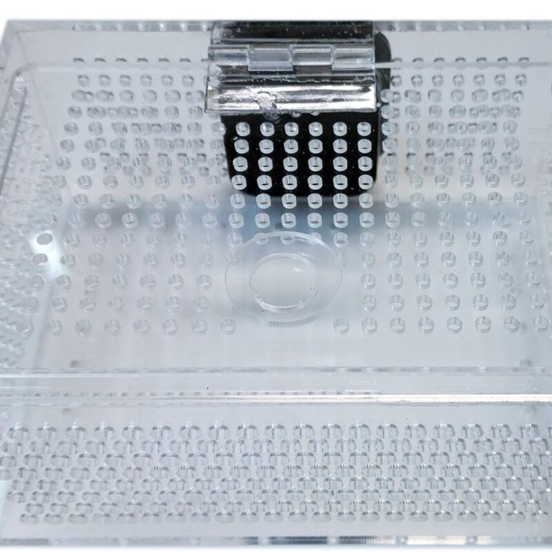 Mushroom Coral/Fish Acclimation Box
