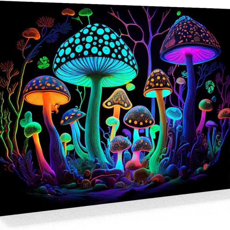 Sense Canvas Trippy Psychedelic Mushroom 25 Canvas Art - Home Decor Wall Art Print Poster Painting Large 40x30 / 0.75"