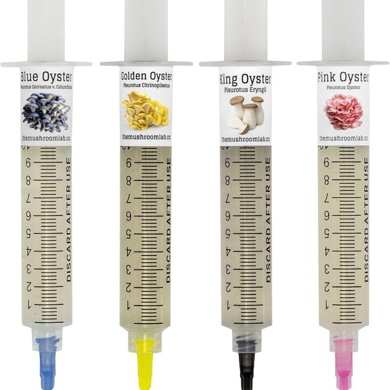 Oyster Mushroom Liquid Culture Syringes - 4 Pack