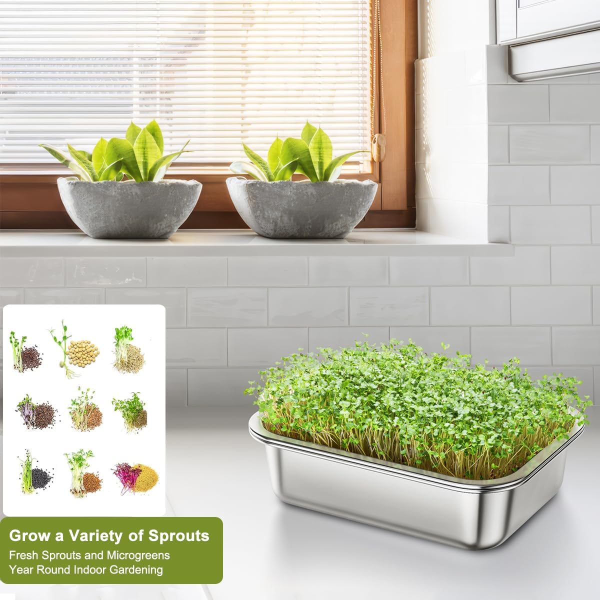 71j-qF6tDSL._AC_SL1200_.jpg FANHAO 2-Pack Sprouting Tray Kit, Stainless Steel Soil-Free Cultivation Germination Tray, Healthy Wheatgrass Grower Sprouting Container Kit Nursery Tray for Indoors Plant Seedlings - Image 4