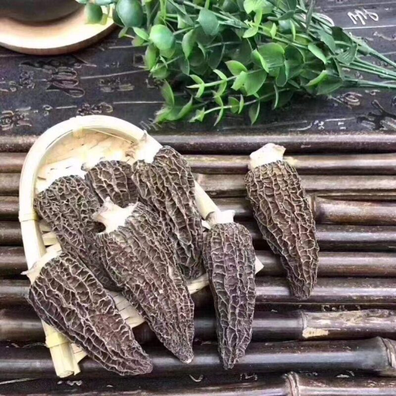 Dried Morel Mushrooms (Morchella Conica) (4oz)