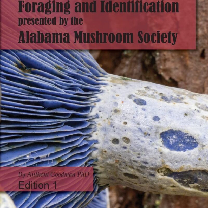 Edible Wild Mushroom Foraging and Identification