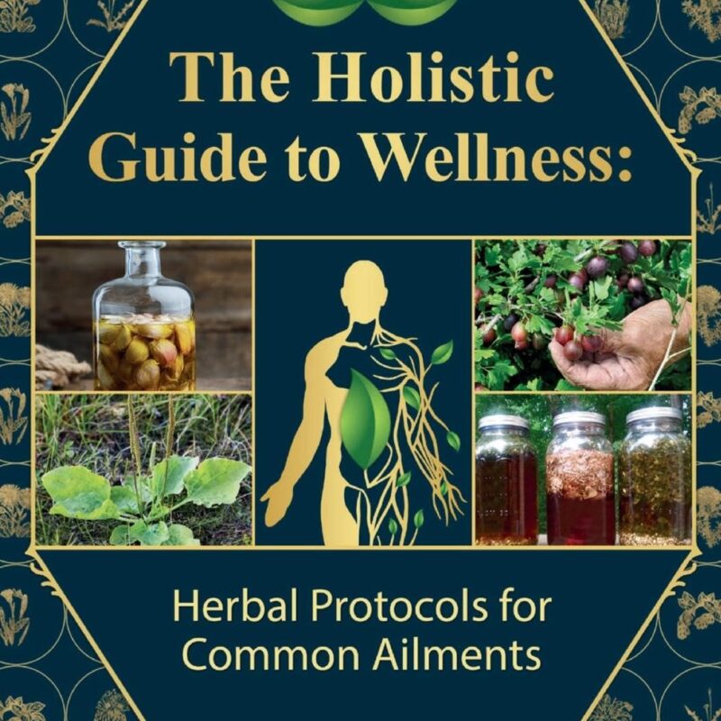 The Holistic Guide to Wellness : Herbal Protocols for Common Ailments