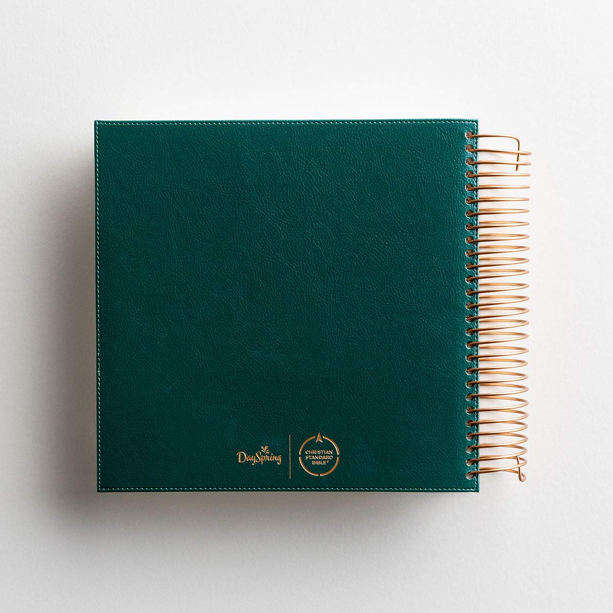 71sm1q5gLhL._SL1200_.jpg Illustrating Bible CSB - Spiral Bound Bible Journal, Green - Image 7