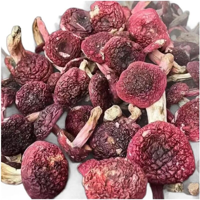 Dried Russula Red Mushroom Honggu (100g(3.53oz))