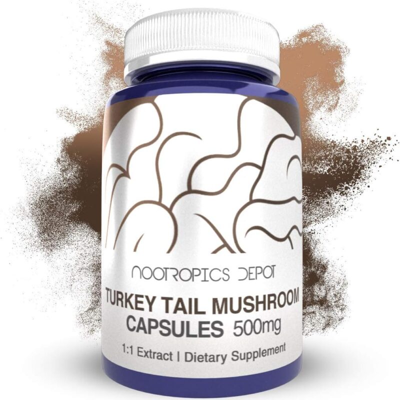 Turkey Tail Mushroom Capsules | 500mg | 180 Count | Trametes versicolor