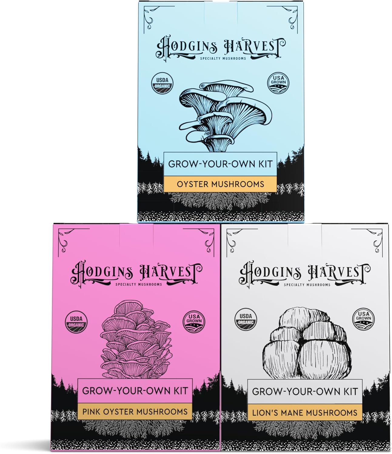 81VJc5PCwL._AC_SL1500_.jpg 3 Pack Mushroom Grow Kit (4lbs) | USDA Certified Organic | Grow Your Own Delicious Gourmet Mushrooms at Home - Image 2
